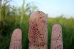 Wooden fingers